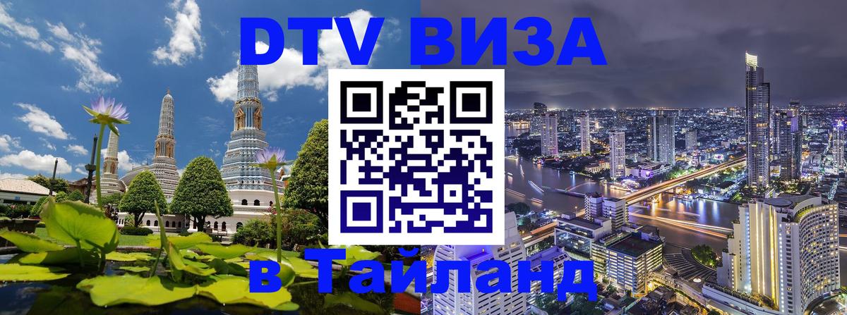 Оформление DTV визы под ключ: стоимость и тарифы, только загранпаспорт - Димитровград  03.10.2025 